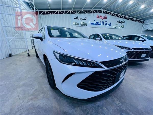 بي واي دي Qin Plus 2025 للبيع في العراق - النجف